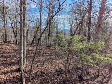 Looking for a place with big view? This is it stunning views of on Brasstown Valley Resort and Spa in Georgia - for sale on GolfHomes.com, golf home, golf lot