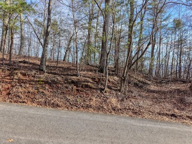 Looking for a place with big view? This is it stunning views of on Brasstown Valley Resort and Spa in Georgia - for sale on GolfHomes.com, golf home, golf lot