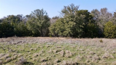 Welcome to the prestigious White Bluff development on the on White Bluff Resort - Old Course in Texas - for sale on GolfHomes.com, golf home, golf lot