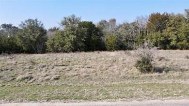 Welcome to the prestigious White Bluff development on the on White Bluff Resort - Old Course in Texas - for sale on GolfHomes.com, golf home, golf lot