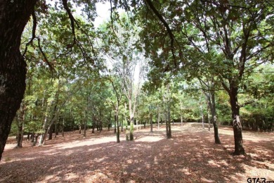 One of A Kind on Links At Lands End in Texas - for sale on GolfHomes.com, golf home, golf lot