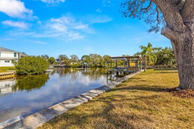 Seller is offering BUYER CONCESSIONS with a competitive offer! on Innisbrook Resort and Golf Club in Florida - for sale on GolfHomes.com, golf home, golf lot