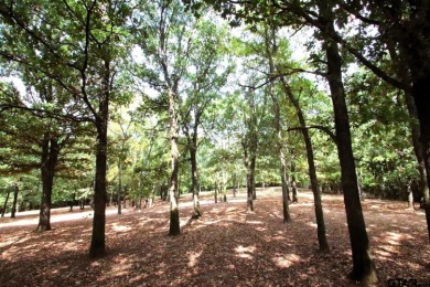 One of A Kind on Links At Lands End in Texas - for sale on GolfHomes.com, golf home, golf lot