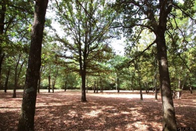 One of A Kind on Links At Lands End in Texas - for sale on GolfHomes.com, golf home, golf lot