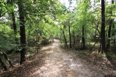 One of A Kind on Links At Lands End in Texas - for sale on GolfHomes.com, golf home, golf lot