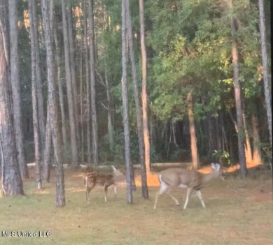 A custom built home in a gated, golf-course community? Yes on Shell Landing Golf Club in Mississippi - for sale on GolfHomes.com, golf home, golf lot