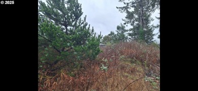 Build your beachside dream home or modern retreat in Gleneden on Salishan Spa and Golf Resort in Oregon - for sale on GolfHomes.com, golf home, golf lot