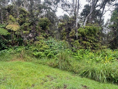 Nice wooded property at the end of the road; last parcel on the on Volcano Golf and Country Club in Hawaii - for sale on GolfHomes.com, golf home, golf lot