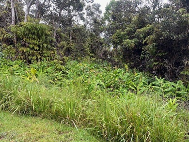 Nice wooded property at the end of the road; last parcel on the on Volcano Golf and Country Club in Hawaii - for sale on GolfHomes.com, golf home, golf lot