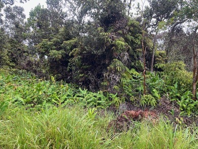 Nice wooded property at the end of the road; last parcel on the on Volcano Golf and Country Club in Hawaii - for sale on GolfHomes.com, golf home, golf lot