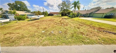 Take advantage of this perfect; stunning; low price lot in a on Palmetto-Pine Country Club in Florida - for sale on GolfHomes.com, golf home, golf lot