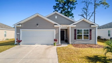 ***OPEN HOUSE Saturday Jan 18th 11-2pm*** Welcome to your new on Island Green Golf Club in South Carolina - for sale on GolfHomes.com, golf home, golf lot