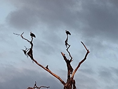 Not many like this one of a kind in a wonderful Community! on Four Lakes Golf Club in Florida - for sale on GolfHomes.com, golf home, golf lot