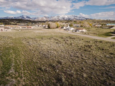 This 1 acre commercial zoned parcel sits in a desirable location on Spring Creek Golf Course in Nevada - for sale on GolfHomes.com, golf home, golf lot