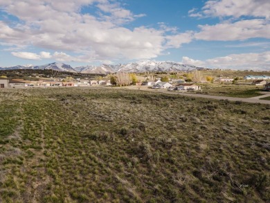 This 1 acre commercial zoned parcel sits in a desirable location on Spring Creek Golf Course in Nevada - for sale on GolfHomes.com, golf home, golf lot