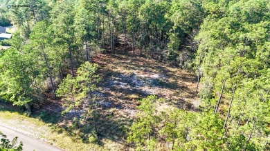**Unrestricted Gem in Rayburn Country** Nestled within the on Rayburn Country Club in Texas - for sale on GolfHomes.com, golf home, golf lot
