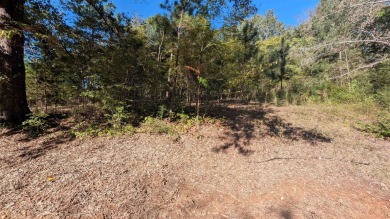 Great building lot around the corner from Robert Trent Jones on The Shoals Golf Club in Alabama - for sale on GolfHomes.com, golf home, golf lot