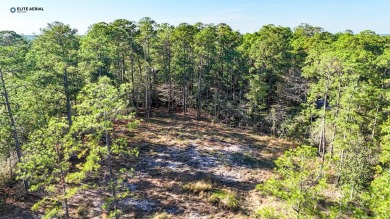 **Unrestricted Gem in Rayburn Country** Nestled within the on Rayburn Country Club in Texas - for sale on GolfHomes.com, golf home, golf lot