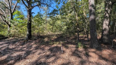 Great building lot around the corner from Robert Trent Jones on The Shoals Golf Club in Alabama - for sale on GolfHomes.com, golf home, golf lot