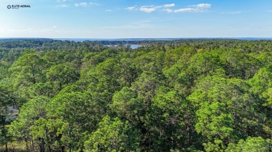 **Unrestricted Gem in Rayburn Country** Nestled within the on Rayburn Country Club in Texas - for sale on GolfHomes.com, golf home, golf lot