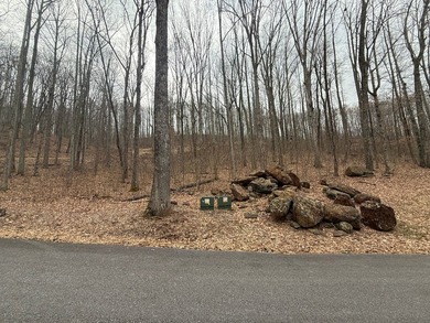 Follow your dreams to this exceptional mountain-view homesite in on Old Union Golf Course in Georgia - for sale on GolfHomes.com, golf home, golf lot