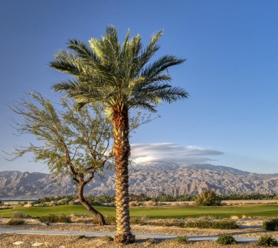 New Listing in Four Seasons at Terra Lago 55+ (3 Bed | 2 Bath | on Golf Club At Terra Lago in California - for sale on GolfHomes.com, golf home, golf lot