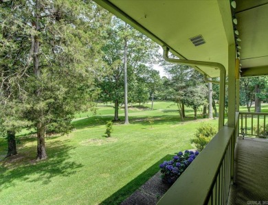 Mid-Century Modern Gem on DeSoto Golf Course - 4BR/2.5BA in Hot on DeSoto Golf Course in Arkansas - for sale on GolfHomes.com, golf home, golf lot