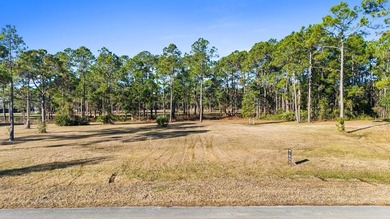 This lot features a buildable portion in the X flood zone on Saint Josephs Bay Country Club in Florida - for sale on GolfHomes.com, golf home, golf lot