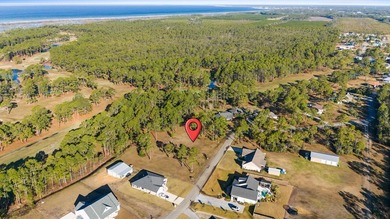This lot features a buildable portion in the X flood zone on Saint Josephs Bay Country Club in Florida - for sale on GolfHomes.com, golf home, golf lot
