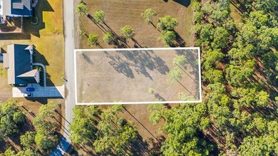 This lot features a buildable portion in the X flood zone on Saint Josephs Bay Country Club in Florida - for sale on GolfHomes.com, golf home, golf lot