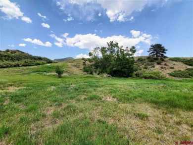 Dee Plucinski, Steffens and Company Realty, Inc, C: , dee,  : on Rio Grande Golf Club in Colorado - for sale on GolfHomes.com, golf home, golf lot