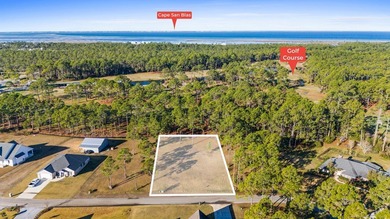 This lot features a buildable portion in the X flood zone on Saint Josephs Bay Country Club in Florida - for sale on GolfHomes.com, golf home, golf lot