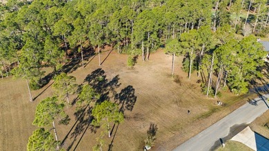 This lot features a buildable portion in the X flood zone on Saint Josephs Bay Country Club in Florida - for sale on GolfHomes.com, golf home, golf lot