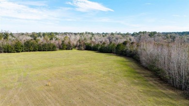 Beautiful homesite, 10 acre parcel offers quiet country living on The Golf Club of Quincy in Florida - for sale on GolfHomes.com, golf home, golf lot