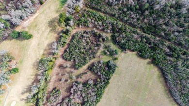 Beautiful homesite, 10 acre parcel offers quiet country living on The Golf Club of Quincy in Florida - for sale on GolfHomes.com, golf home, golf lot