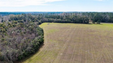 Beautiful homesite, 10 acre parcel offers quiet country living on The Golf Club of Quincy in Florida - for sale on GolfHomes.com, golf home, golf lot