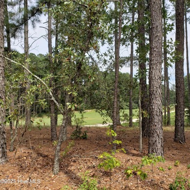 GOLF COURSE FRONTAGE! Welcome to Your Dream Home by Ivercon on Deercroft Golf and Country Club in North Carolina - for sale on GolfHomes.com, golf home, golf lot
