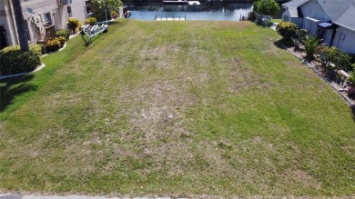 Boaters' Dream! Beautiful Waterfront Lot on Protected Wide Canal on Sea Pines Golf Club in Florida - for sale on GolfHomes.com, golf home, golf lot