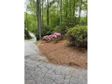 Exquisite Mountain Retreat in Old Edwards Club at Highlands Cove on Old Edwards Club in North Carolina - for sale on GolfHomes.com, golf home, golf lot