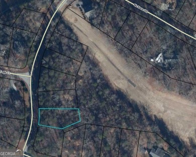 Lot 851 offers a stunning location, backing directly onto the on The Trail At Chickasaw Pointe in South Carolina - for sale on GolfHomes.com, golf home, golf lot