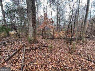 Lot 851 offers a stunning location, backing directly onto the on The Trail At Chickasaw Pointe in South Carolina - for sale on GolfHomes.com, golf home, golf lot
