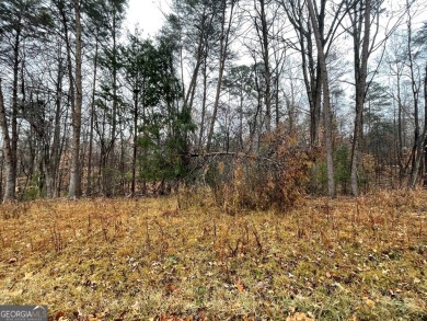 Lot 851 offers a stunning location, backing directly onto the on The Trail At Chickasaw Pointe in South Carolina - for sale on GolfHomes.com, golf home, golf lot
