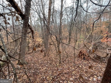 Lot 851 offers a stunning location, backing directly onto the on The Trail At Chickasaw Pointe in South Carolina - for sale on GolfHomes.com, golf home, golf lot