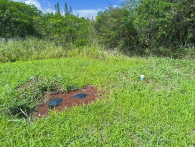 Build-ready ocean view lot WITH SEPTIC IN in Discovery Harbour on Discovery Harbour Golf Course in Hawaii - for sale on GolfHomes.com, golf home, golf lot