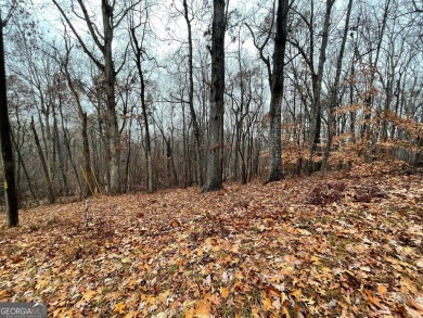 Nestled in the picturesque foothills of the Blue Ridge Mountains on The Trail At Chickasaw Pointe in South Carolina - for sale on GolfHomes.com, golf home, golf lot