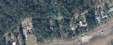 PERFECT LOT FOR THAT NEW HOME NEAR LAKE AND GOLF COURSE!!!  .383 on Dogwood Lakes Golf Club in Florida - for sale on GolfHomes.com, golf home, golf lot