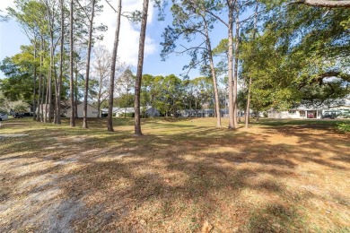 A must see!! Nicely decorated villa with many extras. This on On Top of the World Golf Course in Florida - for sale on GolfHomes.com, golf home, golf lot