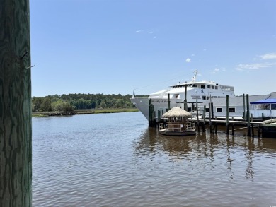 Welcome to 1673 Carriage Ln in Little River, SC -- a modern on Glen Dornoch Waterway Golf Links in South Carolina - for sale on GolfHomes.com, golf home, golf lot