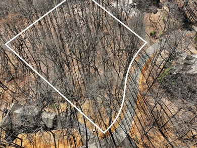 Searching for a gently sloping lot that offers an easy build in on Big Canoe Golf Club - Cherokee in Georgia - for sale on GolfHomes.com, golf home, golf lot