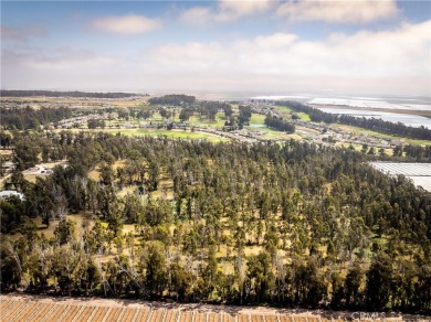 Great Opportunity!! Beautiful 40 Acres of land on the beautiful on Monarch Dunes Golf Club - Old Course in California - for sale on GolfHomes.com, golf home, golf lot